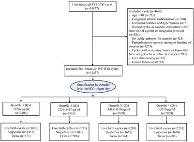 The effect of peak serum estradiol level during ovarian stimulation on cumulative live birth and obstetric outcomes in freeze-all cycles